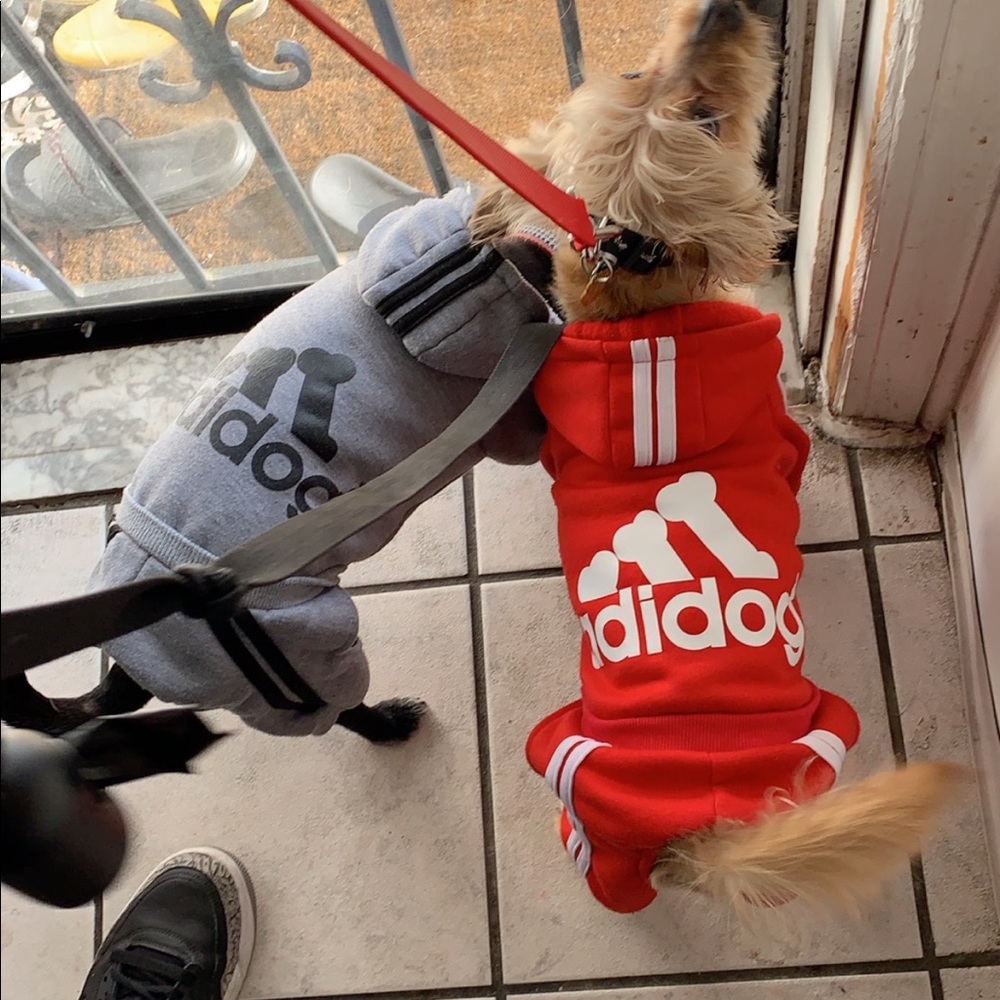 Meet your Posher, Liezl